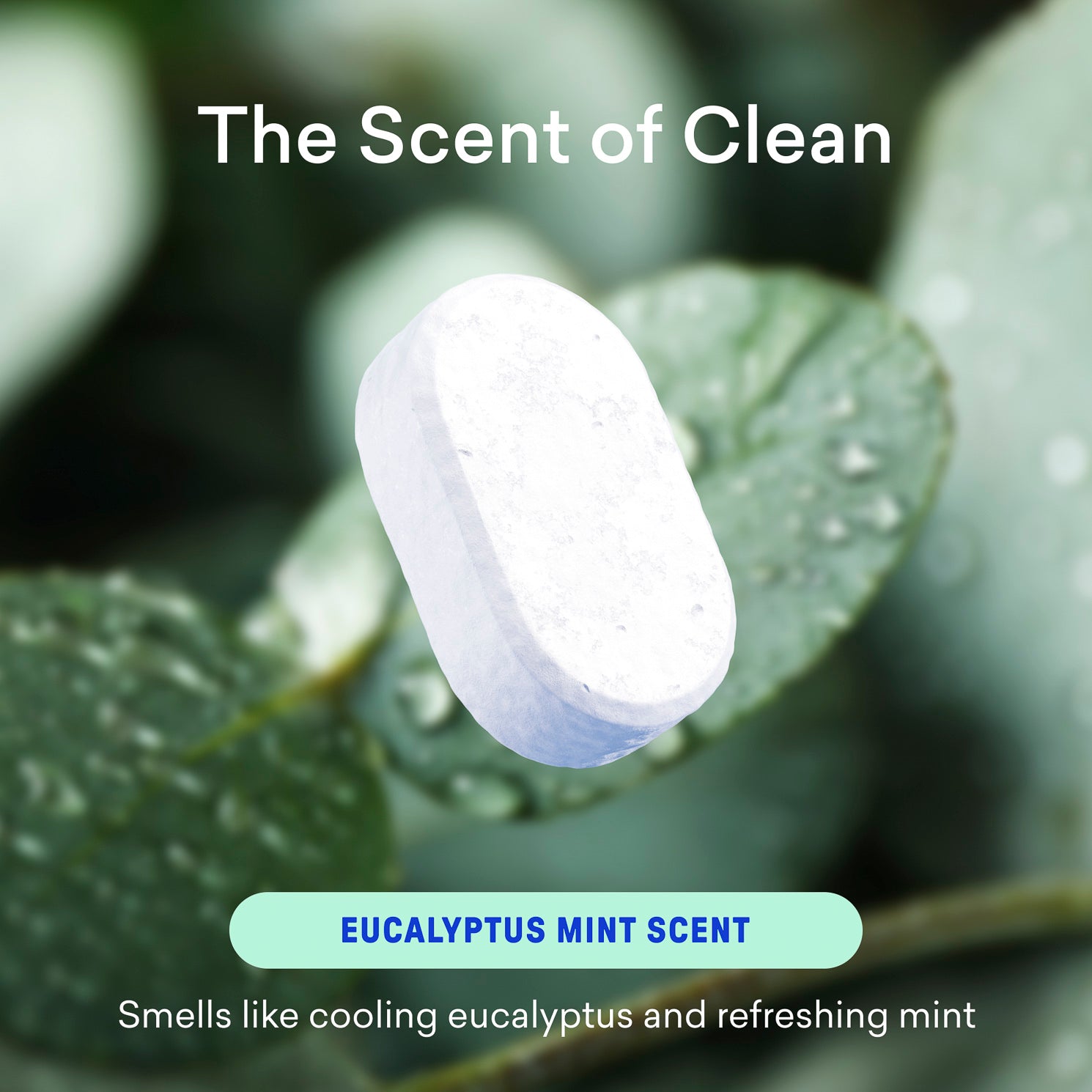 1 Year of Bathroom Cleaner - Fresh Counter Spray