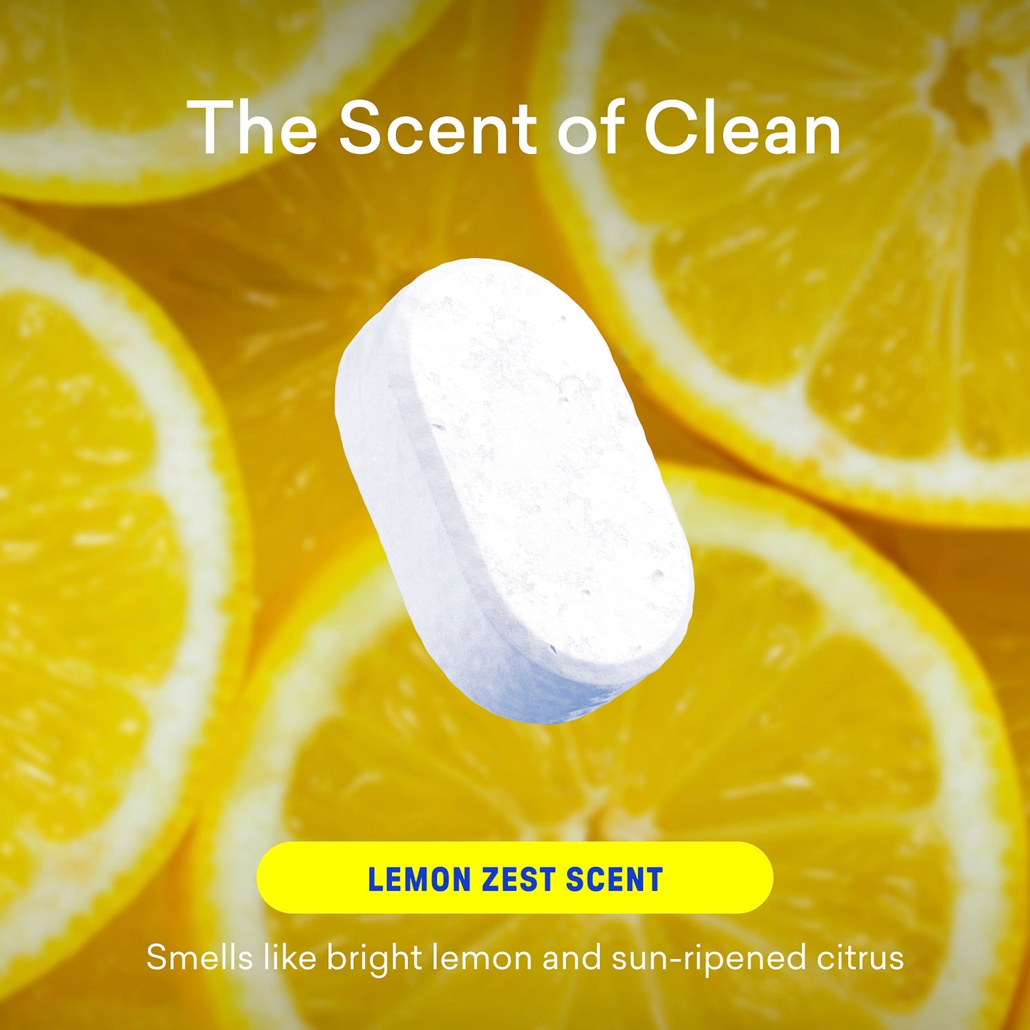 1 Year of Dishwasher Detergent - Ready Cleaning Tablets