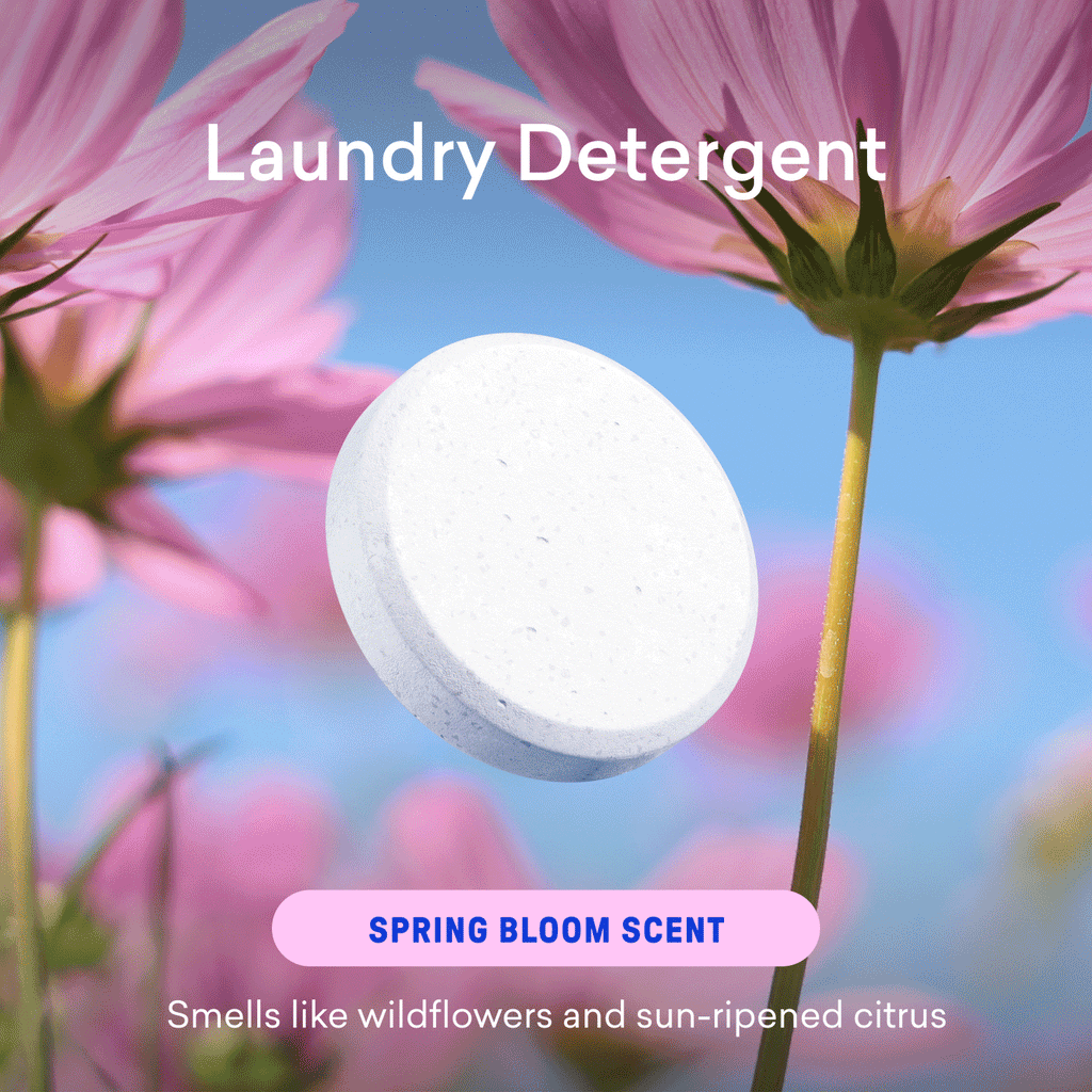 Dishwasher & Laundry Detergent Kit - Everyday Cleaning Refills