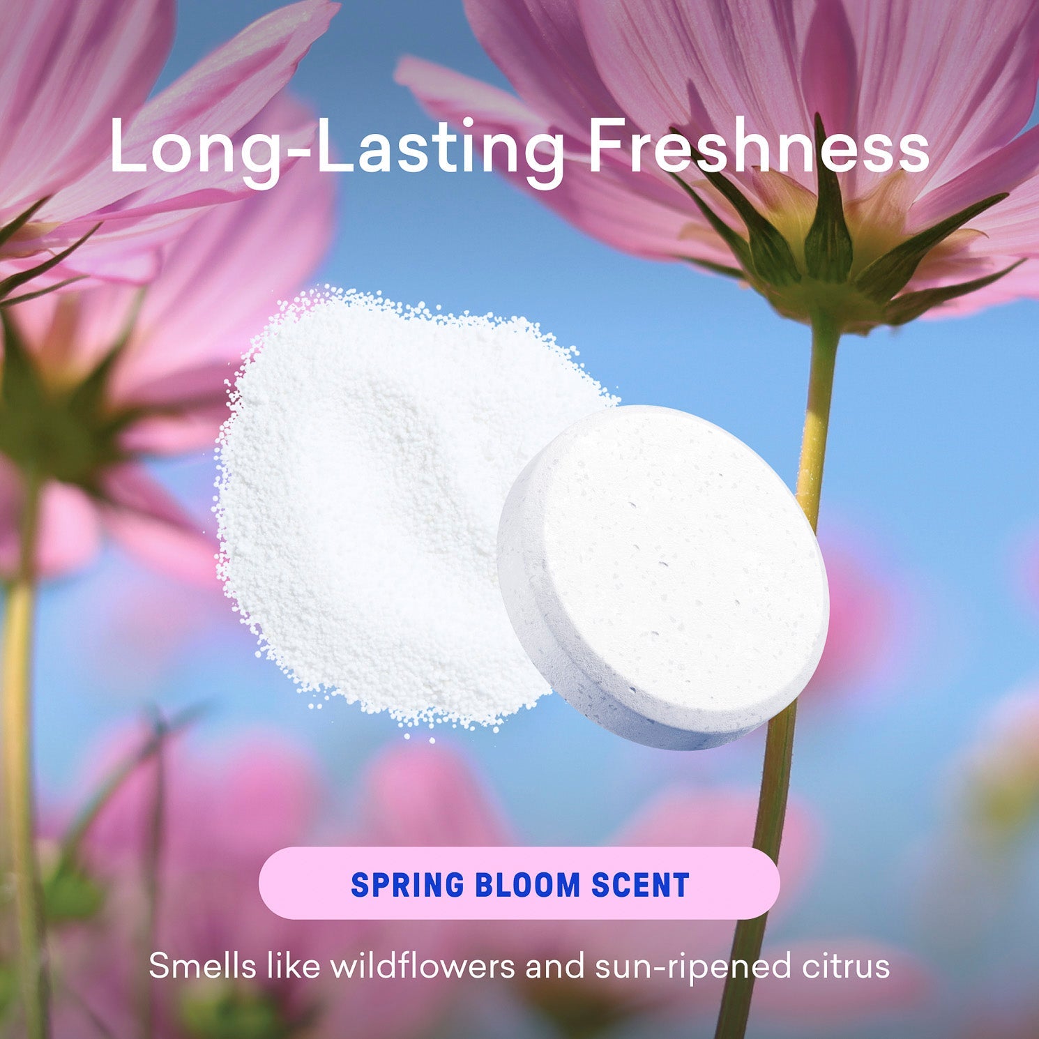 Laundry Essentials Kit - Fresh Home Cleaning