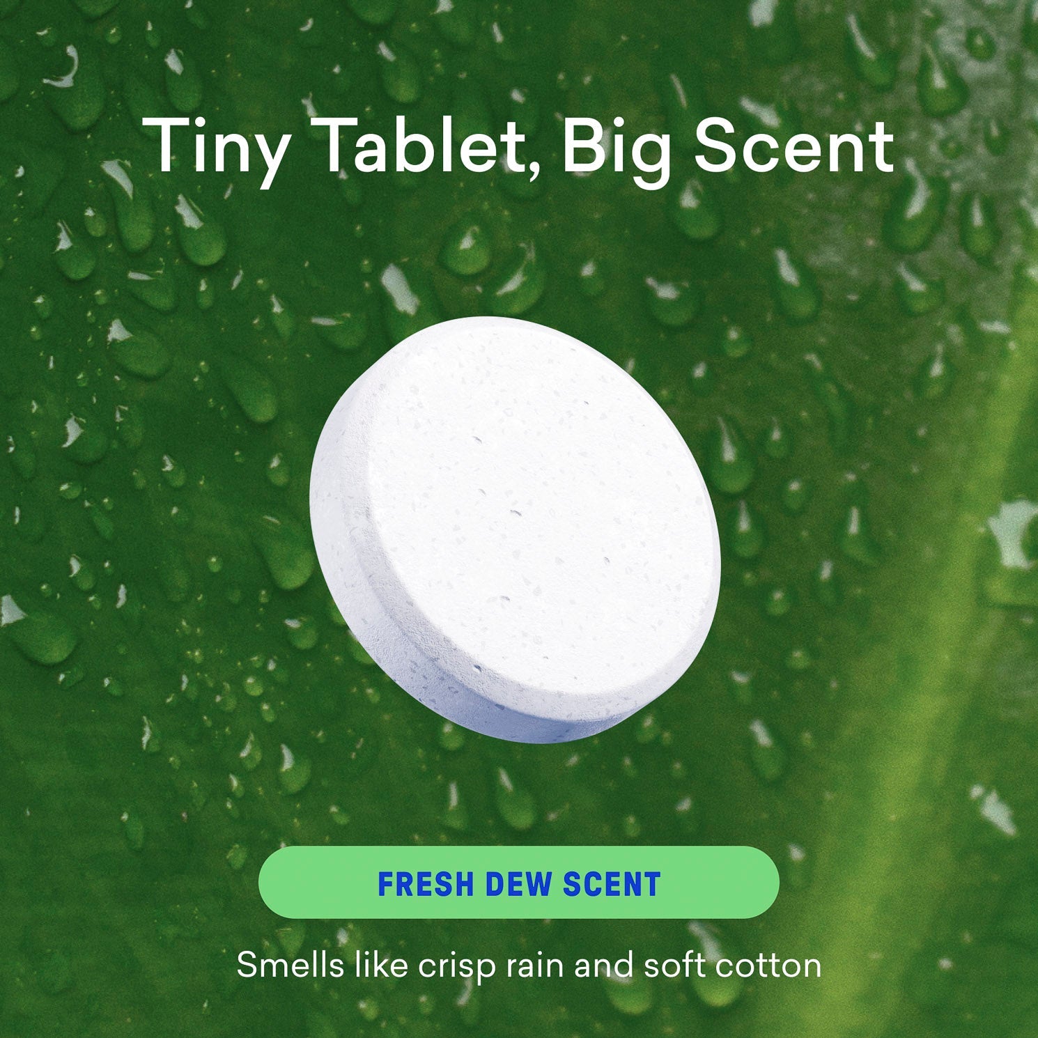 Laundry Welcome Kit - Clear Bottle System