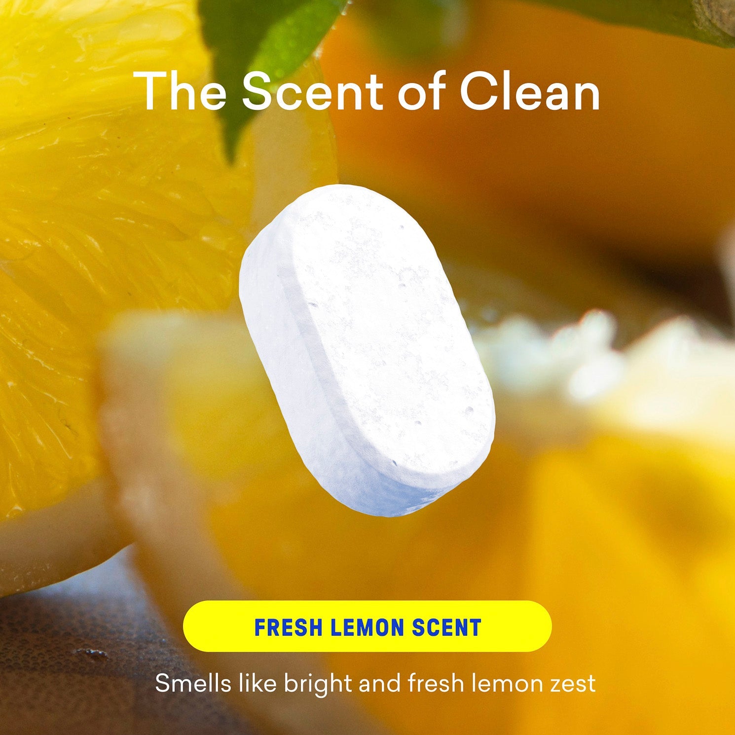 Multi-Surface Cleaner Starter Set - Ready Laundry Tablets