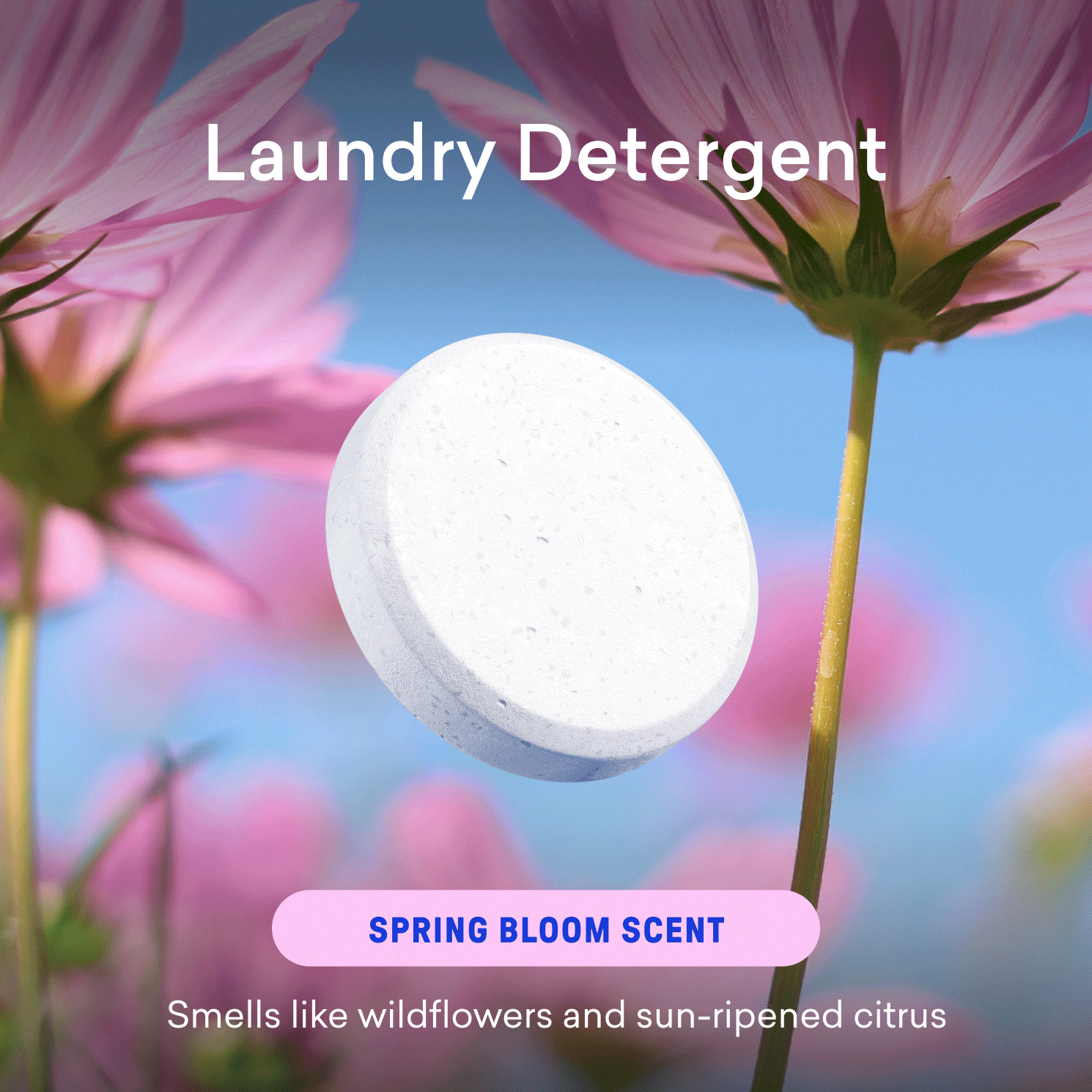 Laundry Detergent & Toilet Bowl Cleaner Kit - Compact Kitchen Cleaner