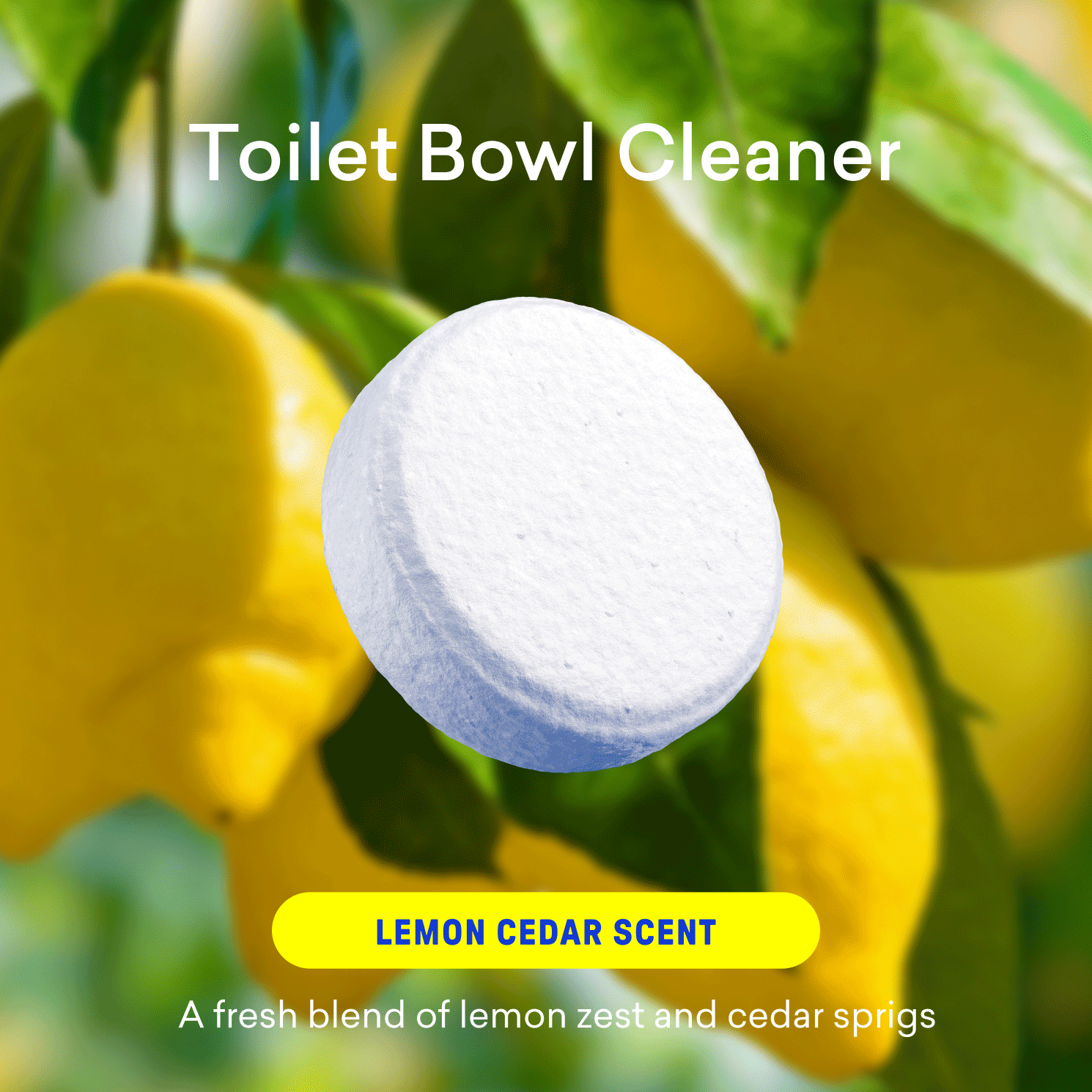 Laundry Detergent & Toilet Bowl Cleaner Kit - Compact Kitchen Cleaner